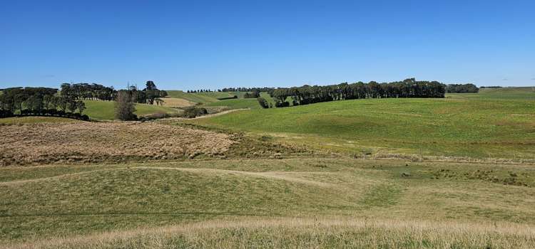 1550 Waimumu Road Te Tipua_13