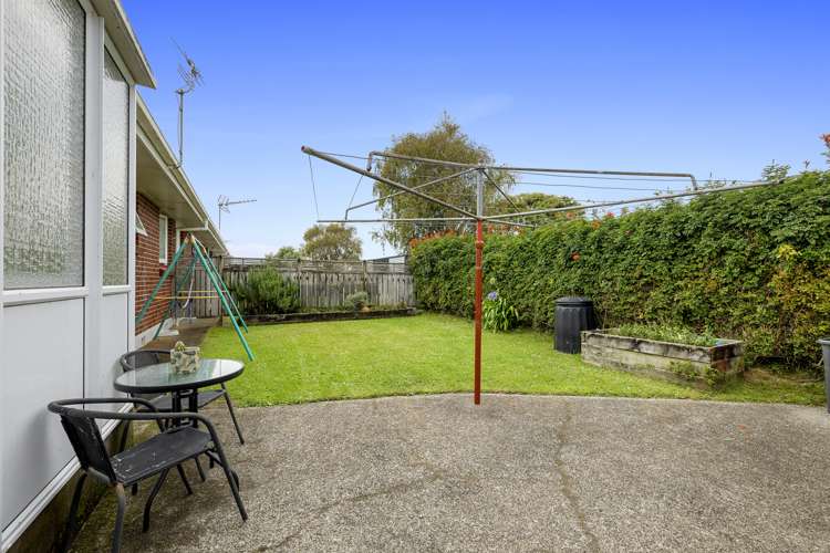 241c Carrington Street Vogeltown_13