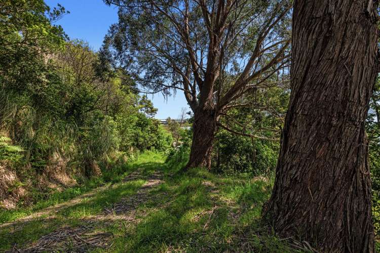 93 Loop Road Ohiwa_19