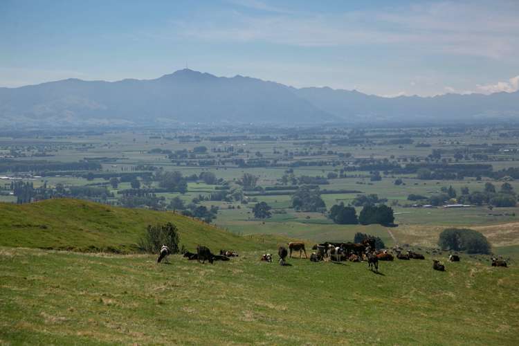 320 Waiti Road Tahuna_19