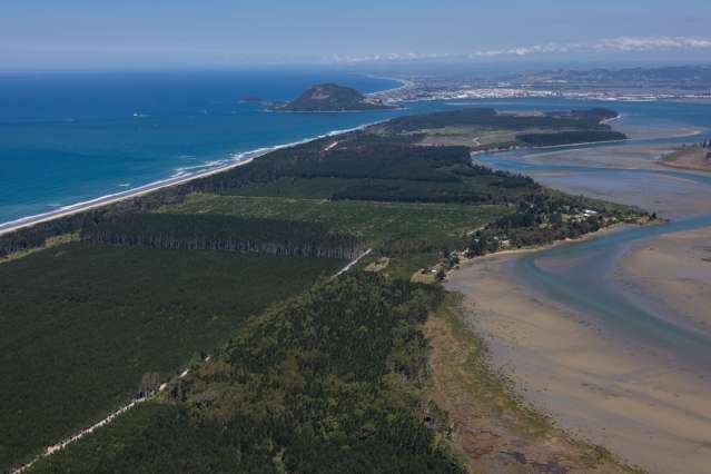 205 Matakana Is 19 HA Matakana Island_3