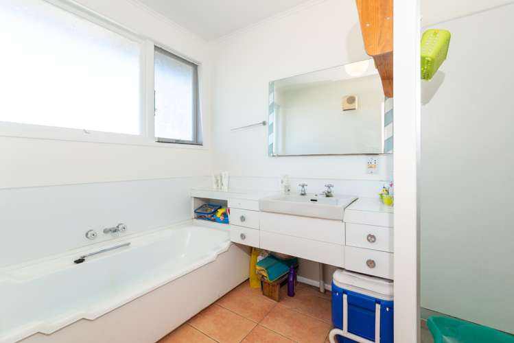 315 Blockhouse Bay Road Avondale_1