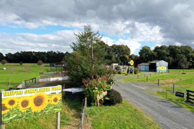 2049 Gordonton Road Taupiri_1