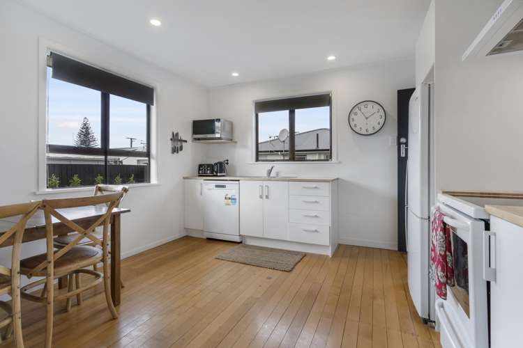 4b Lachlan Avenue Mount Maunganui_2