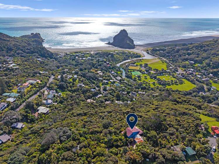 100 Seaview Road Piha_23