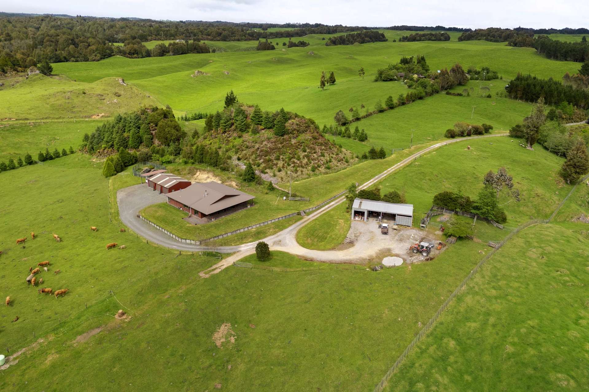 49C Olds Road Ngongotaha Valley_0