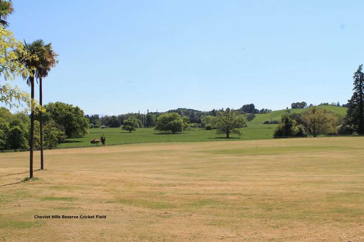 21 Montgomery Street Cheviot_22