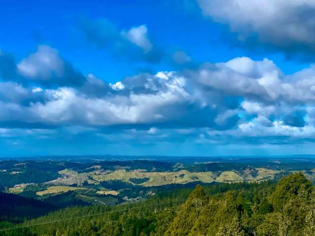 452 Moir Hill Road Warkworth_4