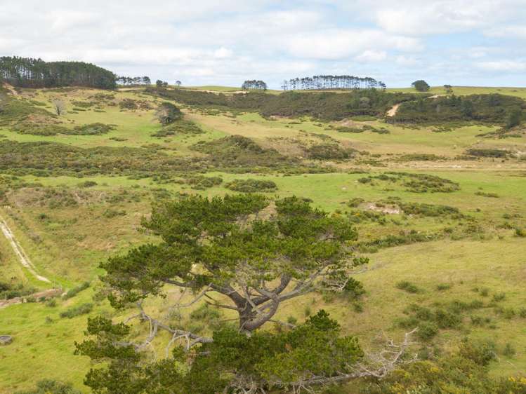 455 Mt Wesley Coast Road Dargaville_13