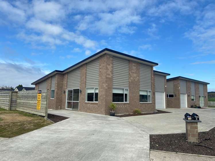 11a Andrew Hilton Close Morrinsville_6