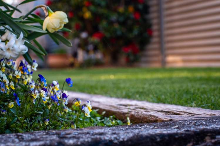 31 Rhoboro Road Twizel_29