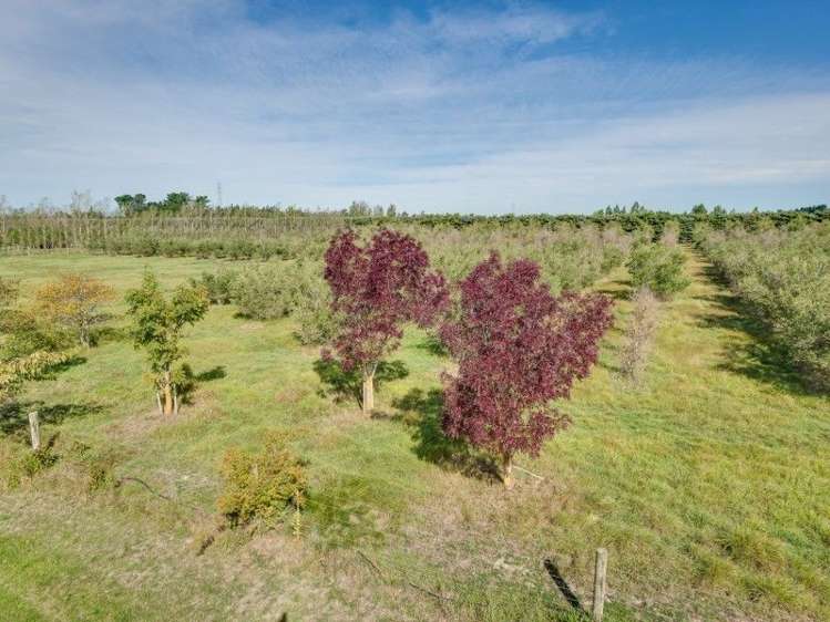 119 Verona Place Ohoka_2