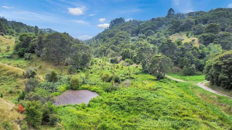 791B White Pine Bush Road Awakeri_9