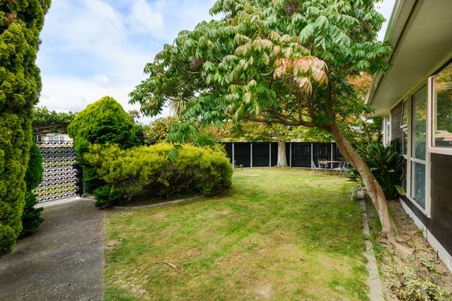 50 Pitama Road Awapuni_1