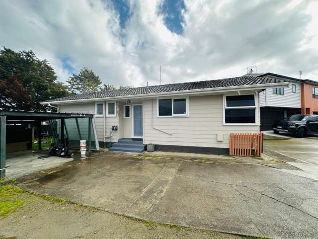 3 Feasegate Street Manurewa_1