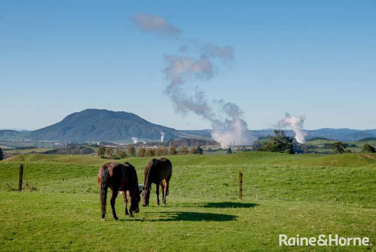 262 Tuhingamata Road Oruanui_11