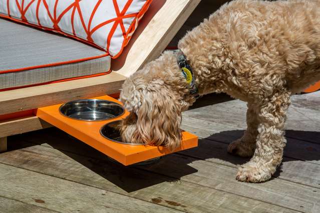 259 Ponsonby Road Ponsonby_2