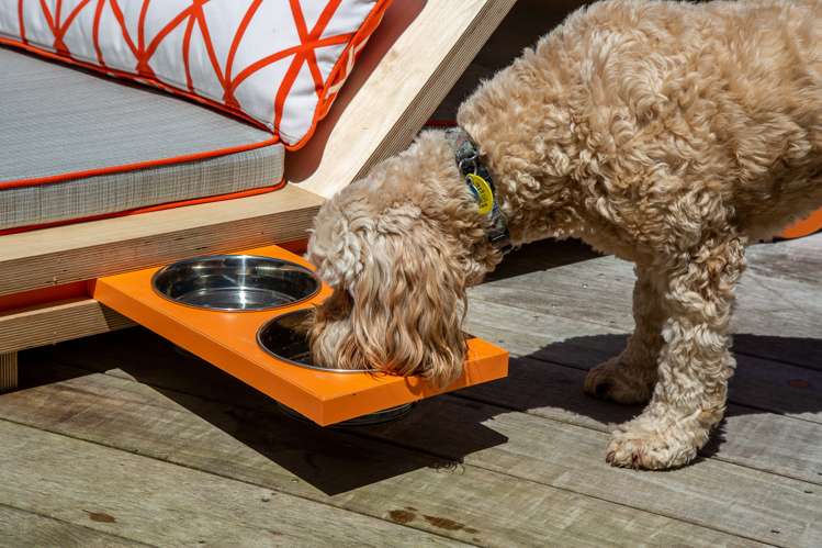 259 Ponsonby Road Ponsonby_2