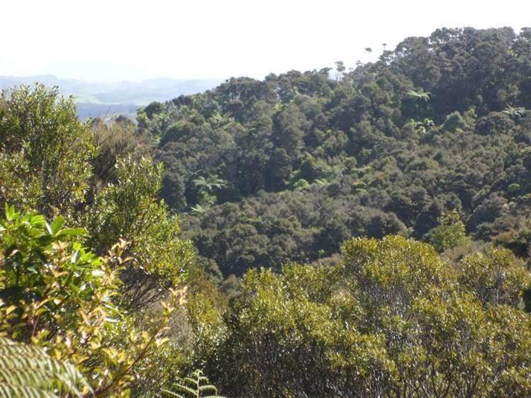 27 Omatai Road Peria_2