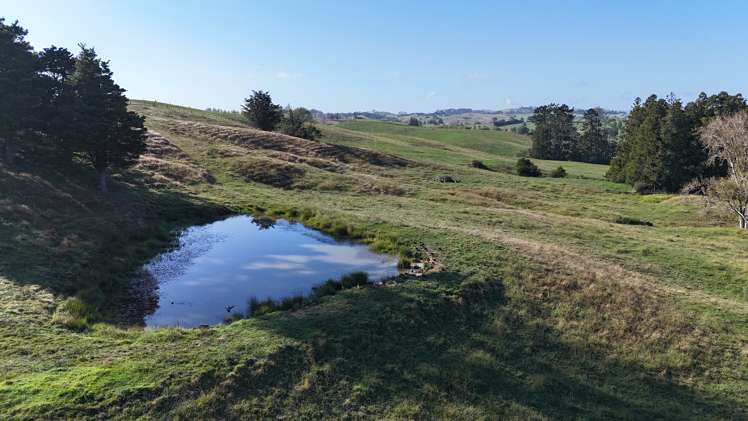 56 Shepherd Road Wellsford_5