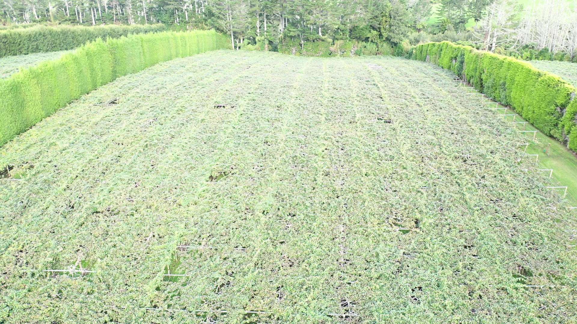 849 No 1 Road Te Puke_0