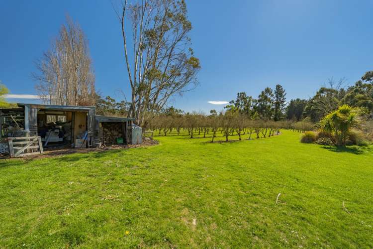 5 Mona Vale Street Waikari_40