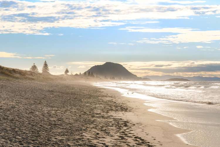 55 Bayfair Drive Mount Maunganui_16