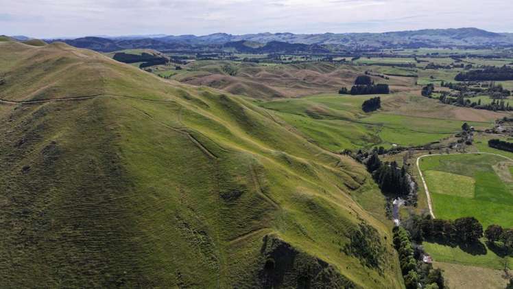 Mikimiki Road Masterton_11