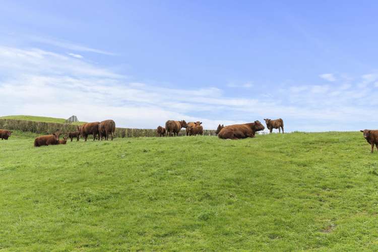 953 Upland Road Egmont Village_18