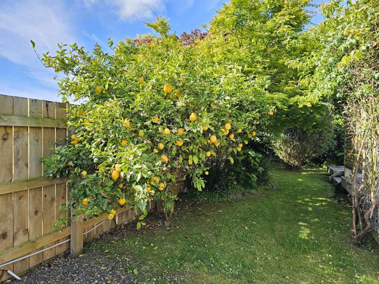 20b York Street Levin_9