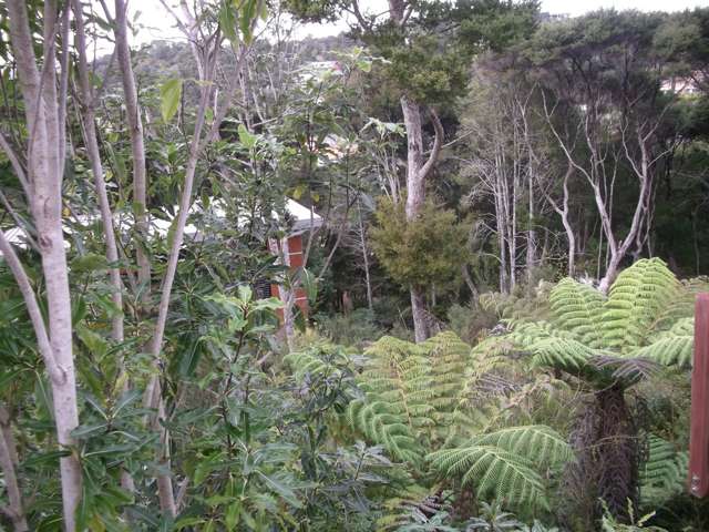 4 Island View Close Paihia_2