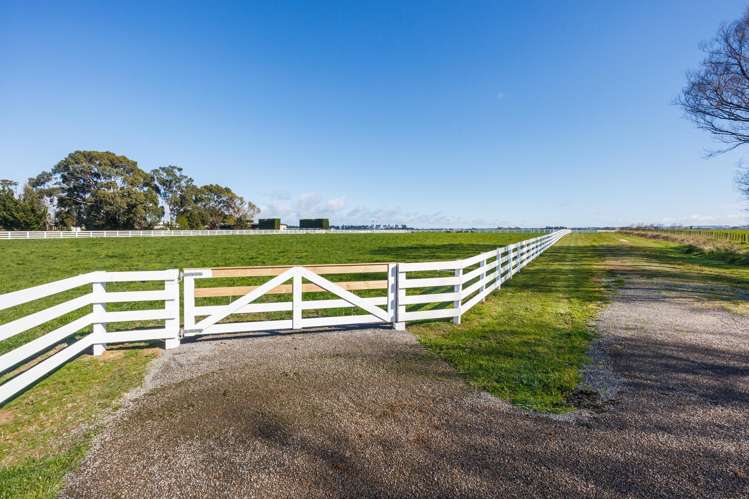 Lot Lot 1 and 2/964 Kairanga Bunnythorpe Road Kairanga_5