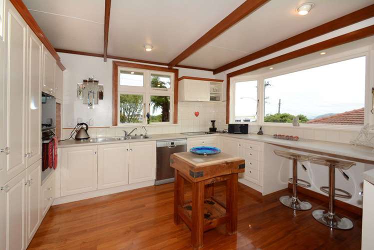 153 Larnach Road Waverley_8