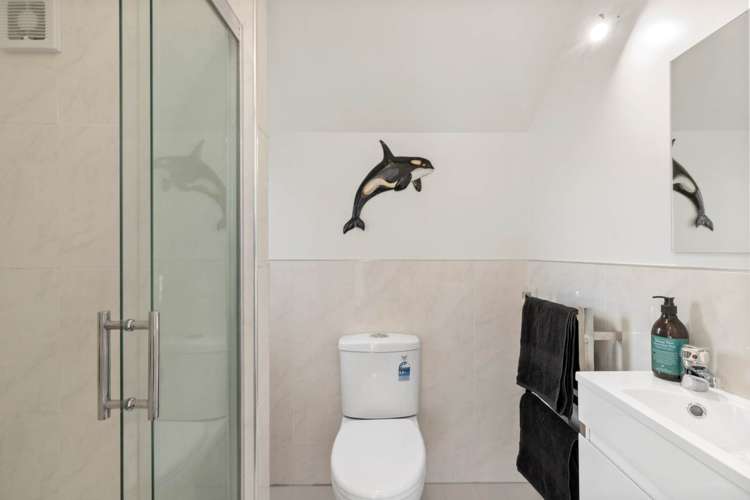 176 Rosebank Road Avondale_19