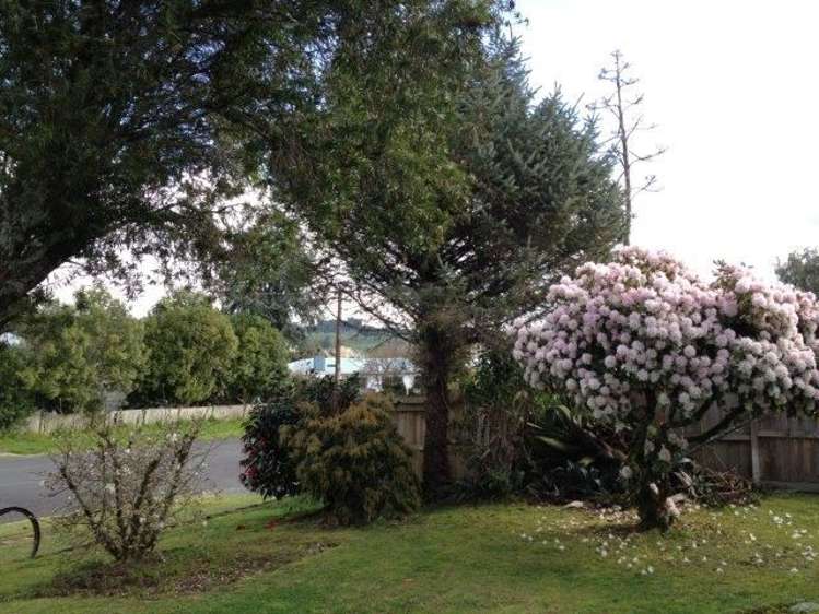 94 Ngatai Street Taumarunui_6