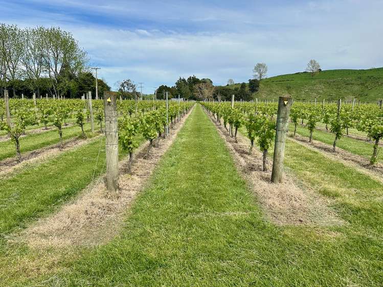 2057 Matawai Road Te Karaka_18