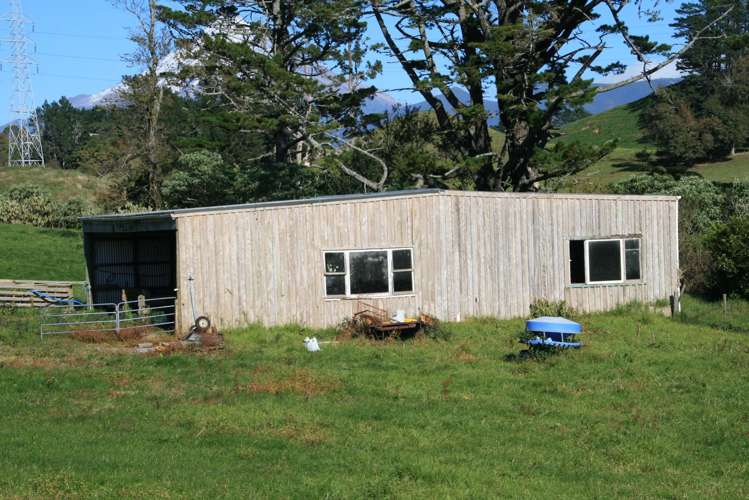 688 Junction Road Burgess Park_13