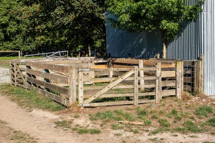 39 Orari Back Road Geraldine_22