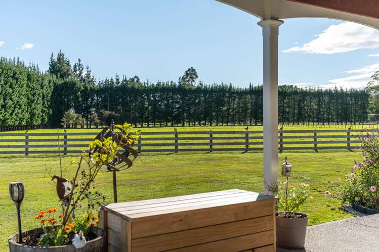 308A Fabians Road Greytown_25