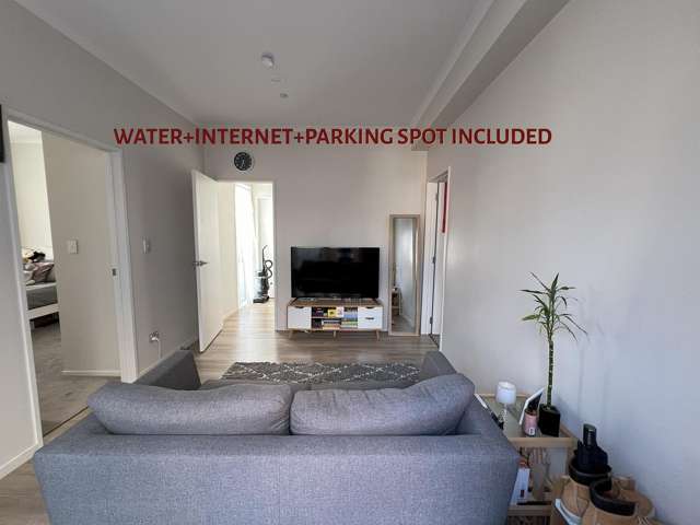 89 Tir Conaill Avenue Flat Bush_1