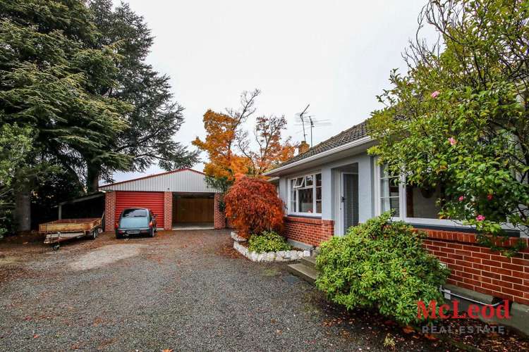 6 Melcombe Street Tinwald_3