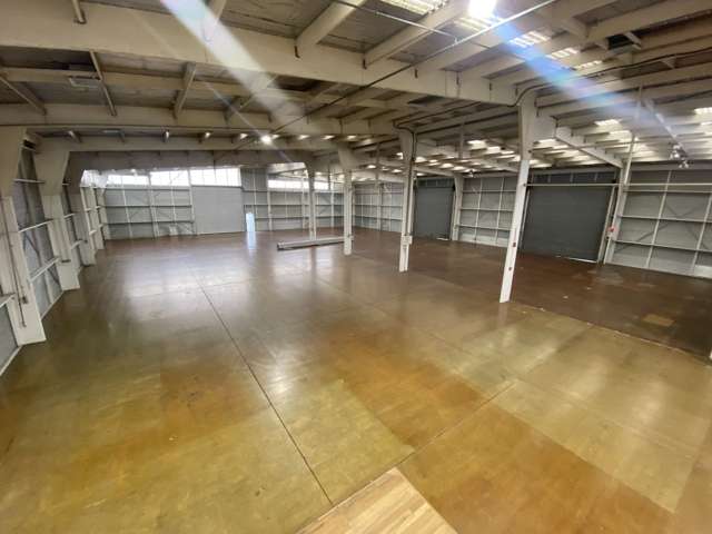331 Neilson Street Penrose_2