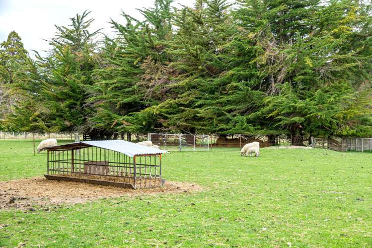 302 Beaconsfield Road Fairview_17