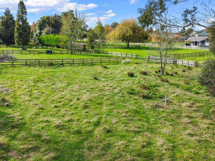 705 Mcclure Street Pirongia_24