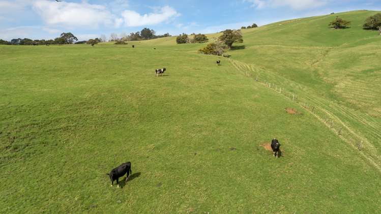 359 Arapohue Road Dargaville Surrounds_5