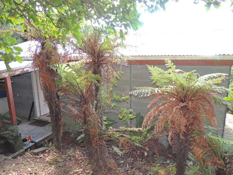 91 Onepoto Road Tuai/Ohuka_17