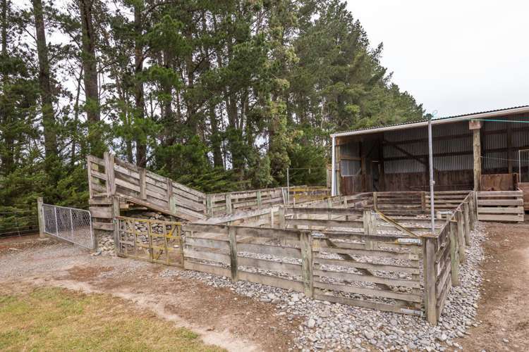 60 Painters Road Kirwee_12