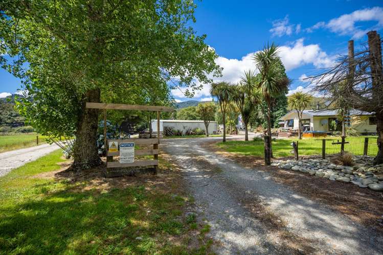 1153 Shenandoah Highway Murchison_30