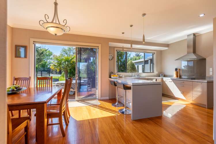 312 Racecourse Road Waipukurau and Surrounds_5