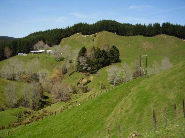 673 Hokoroa Road Tolaga Bay_1